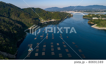 《宮城県》気仙沼大島・牡蠣の養殖 80691389