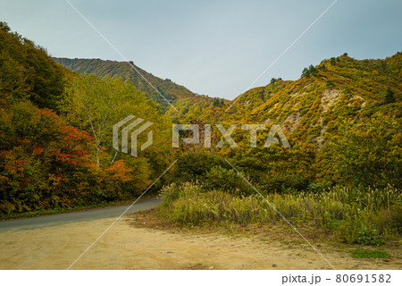 秋色に染まる奥只見湖 80691582