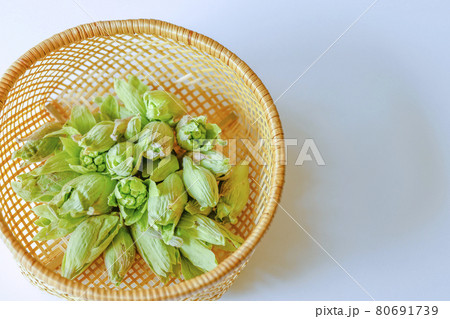 竹かごのフキノトウ 80691739