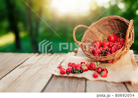 Overturned basket with various berries on a wooden terrace in the morning sun 80692054