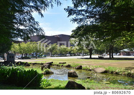 茅ヶ崎中央公園から見た文化会館 80692670