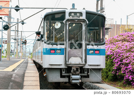 ツツジと列車と駅のホーム 80693070