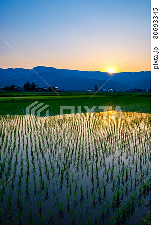 初夏の田園風景（夕暮れ） 80693345
