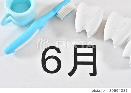 むし歯予防の月 80694081