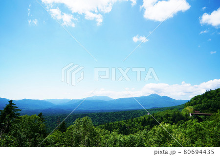 夏の三国峠展望台　北海道 80694435