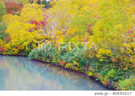 青森県 紅葉時期の地獄沼 青森県 紅葉時期の地獄沼 80695017