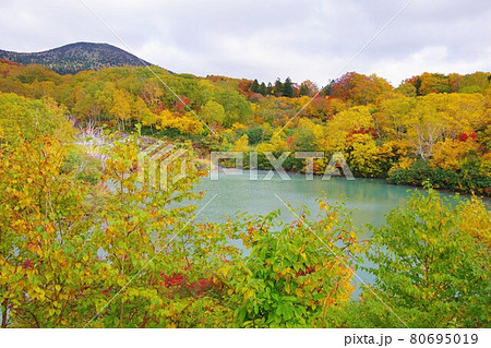 青森県 紅葉時期の地獄沼 青森県 紅葉時期の地獄沼 80695019
