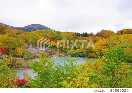 青森県　紅葉時期の地獄沼 80695020