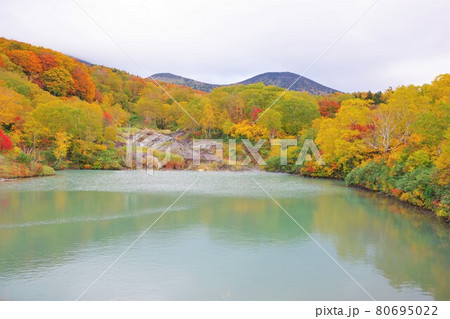 青森県　紅葉時期の地獄沼 80695022