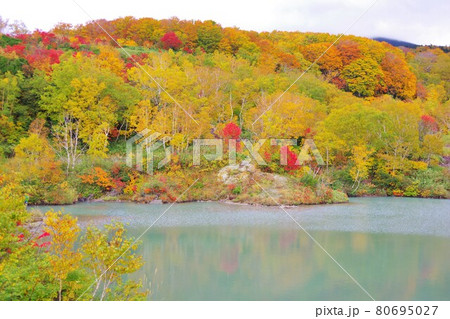 青森県　紅葉時期の地獄沼 80695027