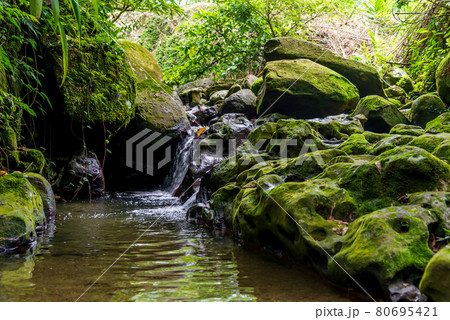 台北 台北市 タイペイ 80695421