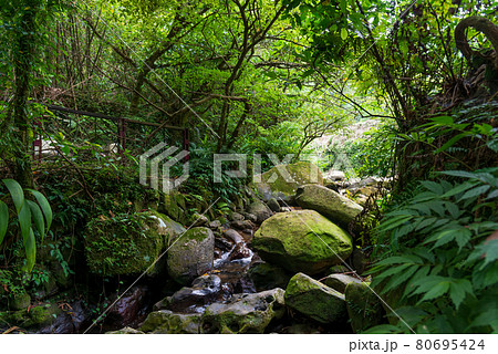 台北 台北市 タイペイ 80695424