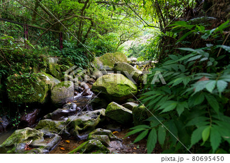 台北 台北市 タイペイ 80695450