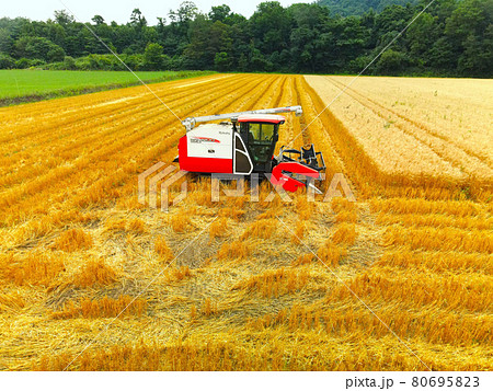 夏の北海道厚沢部町で秋まき小麦の収穫作業の風景を空撮 夏の北海道厚沢部町で秋まき小麦の収穫作業の風景を空撮 80695823