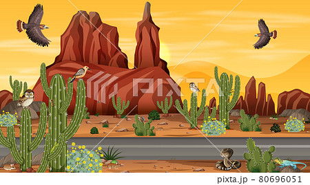 Road through the desert forest landscape scene with desert animals 80696051