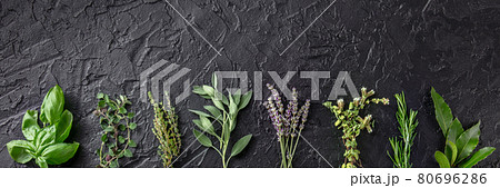 Fresh aromatic herbs panoramic banner with copy space, overhead 80696286