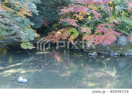 岡山後楽園の秋 岡山後楽園の秋 80696558