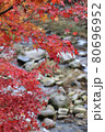 奥津渓の紅葉と清流 80696952