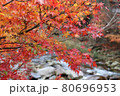 奥津渓の紅葉と清流 80696953