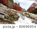 奥津渓の紅葉と清流 80696954