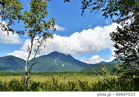 夏の奥日光 戦場ヶ原散策 80697015