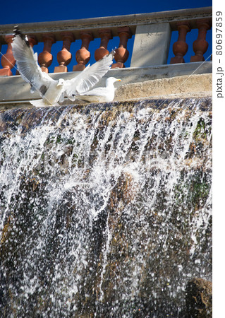 Waterfall in Nice city park on the French Riviera, two seagulls Waterfall in Nice city park on the French Riviera, two seagulls 80697859
