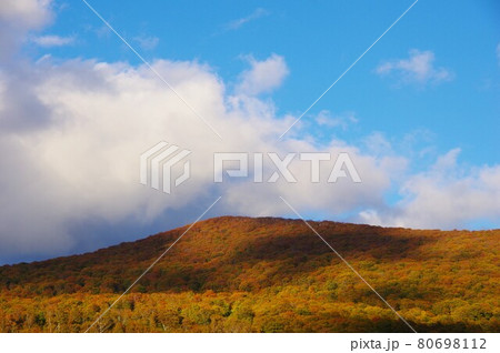 青森県十和田市 紅葉時期に石倉山展望駐車場から八幡岳方面を望む 青森県十和田市 紅葉時期に石倉山展望駐車場から八幡岳方面を望む 80698112