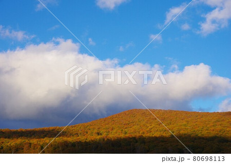 青森県十和田市 紅葉時期に石倉山展望駐車場から八幡岳方面を望む 青森県十和田市 紅葉時期に石倉山展望駐車場から八幡岳方面を望む 80698113