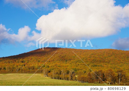 青森県十和田市 紅葉時期に石倉山展望駐車場から八幡岳方面を望む 青森県十和田市 紅葉時期に石倉山展望駐車場から八幡岳方面を望む 80698129