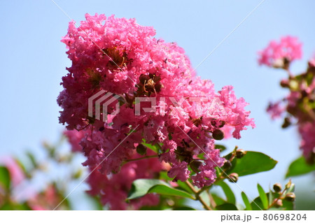 山田池公園 山田池公園 80698204