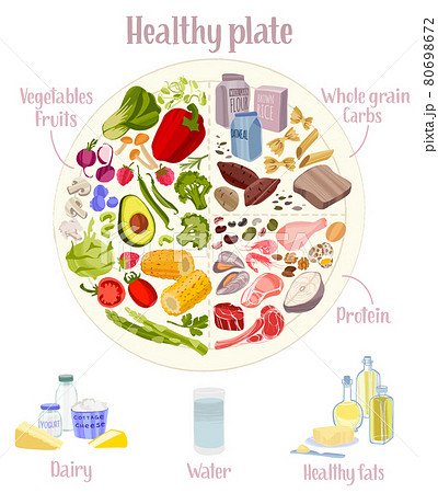Rational diet infographics. Healthy eating plate concept. 80698672