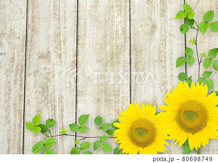 ヒマワリと葉っぱ 木目背景916のイラスト素材