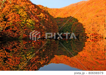 秋の曲沢沼（福島県・北塩原村） 80698979