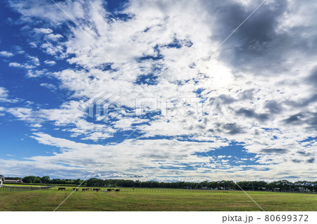 夏の青空と競走馬(サラブレッド)生産牧場 イメージ 北海道 夏の青空と競走馬(サラブレッド)生産牧場 イメージ 北海道 80699372