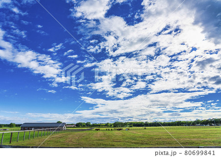夏の青空と競走馬（サラブレッド）生産牧場　イメージ　北海道 80699841