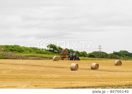 夏の北海道　麦畑　麦稈ロール　北海道安平町 80700140