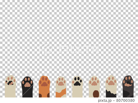 猫の手のフレーム 80700380