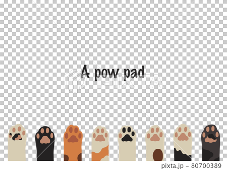 Cat hand frame 80700389