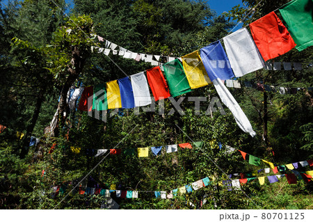 Buddhist prayer flags lunga in McLeod Ganj, Himachal Pradesh, India Buddhist prayer flags lunga in McLeod Ganj, Himachal Pradesh, India 80701125