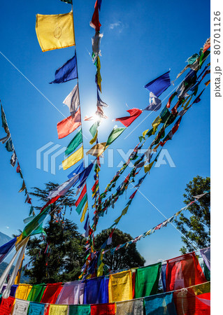 Buddhist prayer flags lunga in McLeod Ganj, Himachal Pradesh, India Buddhist prayer flags lunga in McLeod Ganj, Himachal Pradesh, India 80701126