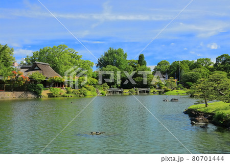 【熊本県】晴天下の水前寺成趣園 【熊本県】晴天下の水前寺成趣園 80701444