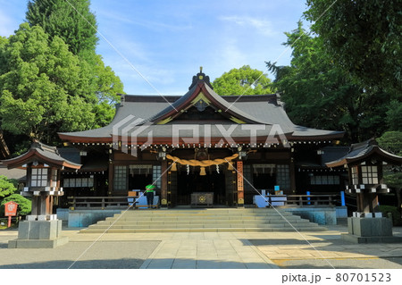 【熊本県】晴天下の出水神社（水前寺成趣園） 80701523