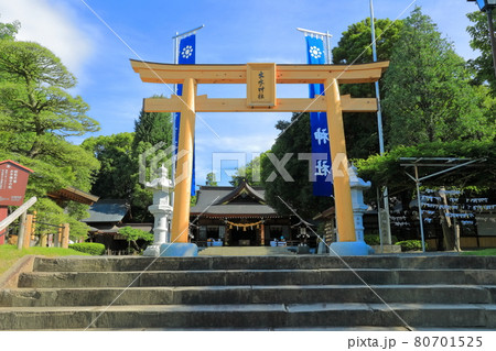 【熊本県】晴天下の出水神社（水前寺成趣園） 80701525