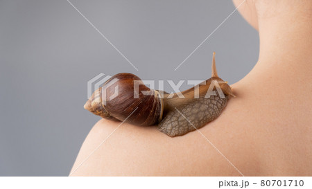 Close-up of a snail crawling of a woman's shoulder. Skin care 80701710