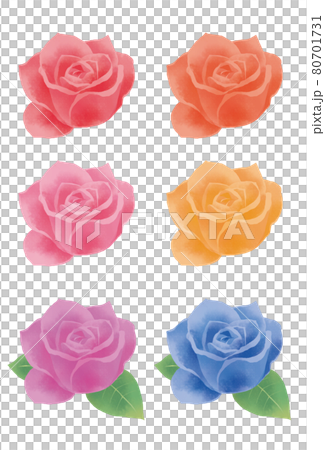 水彩タッチの一輪のきれいなバラのイラストレーション 水彩タッチの一輪のきれいなバラのイラストレーション 80701731