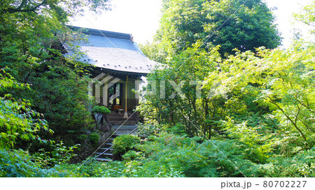 寺 寺院 神殿 80702227