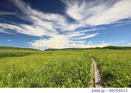 雨竜沼湿原 雨竜沼湿原 80703015