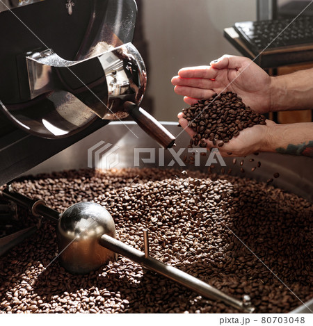 Male worker checking quality of freshly roasted coffee beans Male worker checking quality of freshly roasted coffee beans 80703048