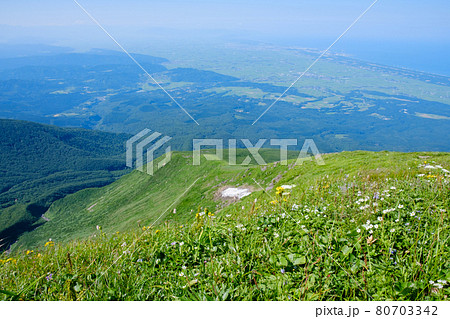 高山植物が咲き乱れる雲上のお花畑、鳥海山(笙ヶ岳) 高山植物が咲き乱れる雲上のお花畑、鳥海山(笙ヶ岳) 80703342