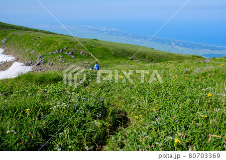 高山植物が咲き乱れる雲上のお花畑、鳥海山(笙ヶ岳) 高山植物が咲き乱れる雲上のお花畑、鳥海山(笙ヶ岳) 80703369